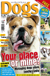 Dogs Monthly